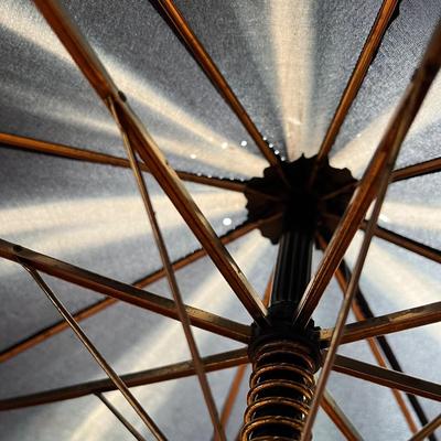 Unique Umbrellas and More (LR-BC)