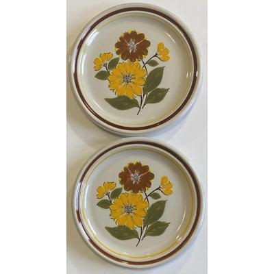 2 DeVille Capri 300 Collection Stoneware Dinner Plates Made In Japan Floral