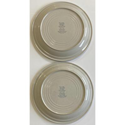 2 DeVille Capri 300 Collection Stoneware Dinner Plates Made In Japan Floral