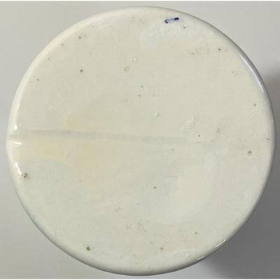 Vintage Saguaro Cactus Vase Sonoran Desert Arizona California West Southwestern