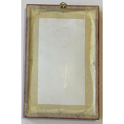 Framed Hand Painted Bird Feather Honduras 2008 Central America Toucan Signed