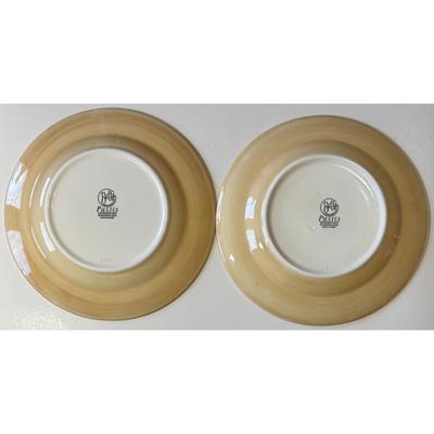 2 Bella Ceramica Pastis Dinner Plates Flowers Floral