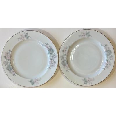 8 Epiag Czechoslovakia Aich Dinner Plates 102 Floral 111 Flowers 112