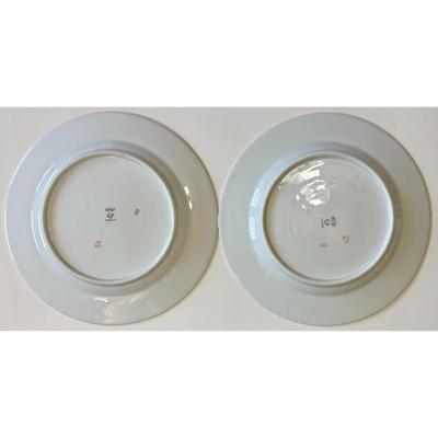 8 Epiag Czechoslovakia Aich Dinner Plates 102 Floral 111 Flowers 112