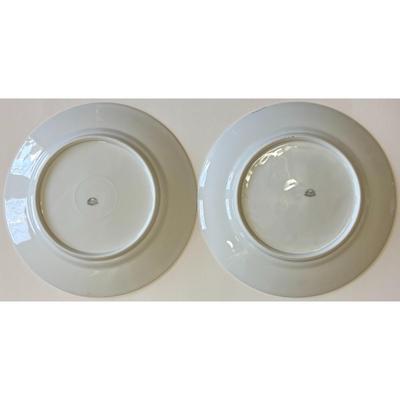 8 Epiag Czechoslovakia Aich Dinner Plates 102 Floral 111 Flowers 112