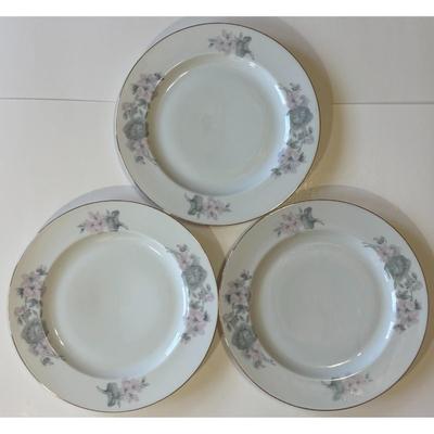 8 Epiag Czechoslovakia Aich Dinner Plates 102 Floral 111 Flowers 112
