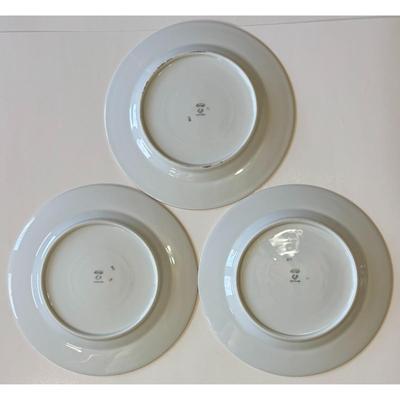 8 Epiag Czechoslovakia Aich Dinner Plates 102 Floral 111 Flowers 112