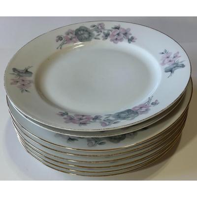8 Epiag Czechoslovakia Aich Dinner Plates 102 Floral 111 Flowers 112