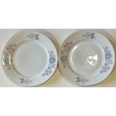 8 Epiag Czechoslovakia Aich Dinner Plates 102 Floral 111 Flowers 112