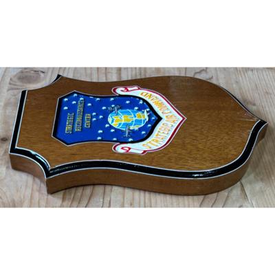 Vintage Vietnam Era Strategic Air Command Reconnaissance Center Wood Plaque USAF