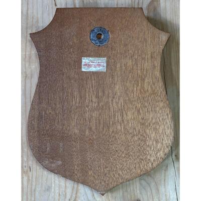 Vintage Vietnam Era Strategic Air Command Reconnaissance Center Wood Plaque USAF