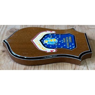 Vintage Vietnam Era Strategic Air Command Reconnaissance Center Wood Plaque USAF