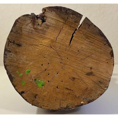 Vintage Hand Made Carved Painted Wood Bears R Us Alien Ruidoso New Mexico UFO