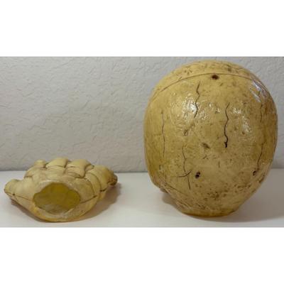 Halloween Decorations Plastic Skull & Hand Skeleton Black White / Yellow Haunted