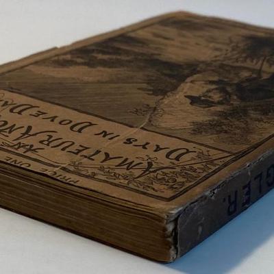 Antique Amateur Angler's Days Dove Dale By Charles Stedman Hanks 1888 Softcover