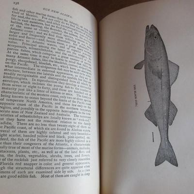 Antique Our New Alaska; Seward Purchase Vindicated By Charles Hallock 1886 HC