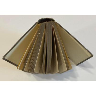 Antique The Girl Who Wouldn't Make Friends By Elsie Jeanette Oxenham 1909 hardcover