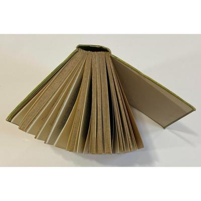 Antique The Outlaw of the Shell: A School Story By John Finnemore 1915 hardcover