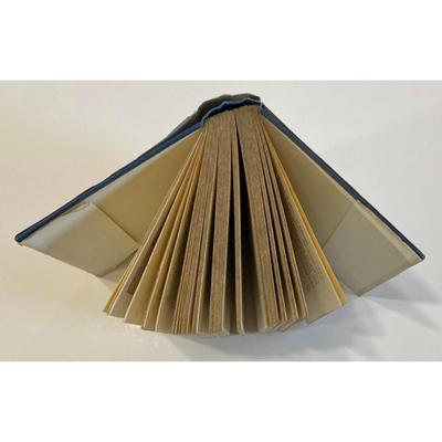 Vintage The Power Projector By J.F.C. Westerman 1933 hardcover