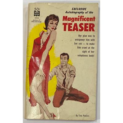 Vintage Magnificent Teaser By Tina Powers 1962 softcover Merit Book 559