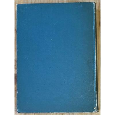 Antique The Danube With Pen And Pencil By Captain B. Granville Baker 1911 HC