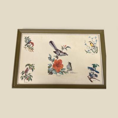 Bird Prints on Vinyl Framed