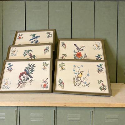 Bird Prints on Vinyl Framed