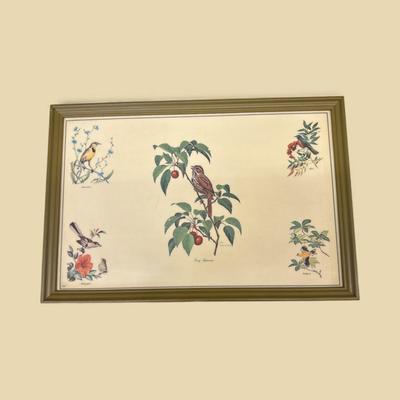 Bird Prints on Vinyl Framed