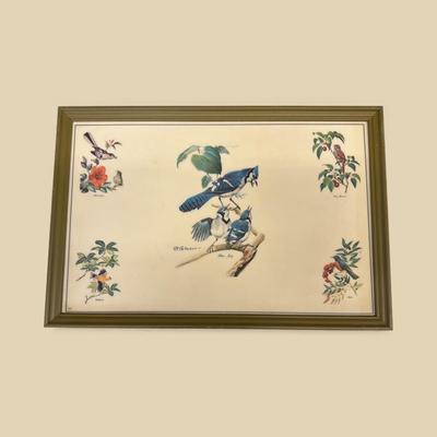 Bird Prints on Vinyl Framed