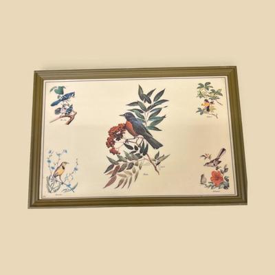 Bird Prints on Vinyl Framed