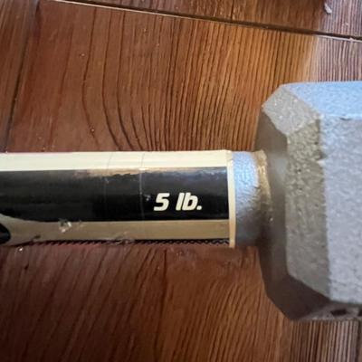 Perfect Fitness Brand Exercise Bar and Dumbbells (L-BC)