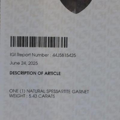 IGI CERTIFIED NATURAL GARNET
