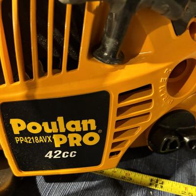 Poulan Pro Chain Saw
