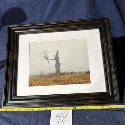 The Survivor Picture