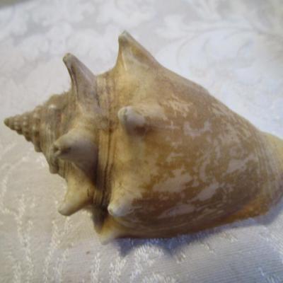 Sale Photo Thumbnail #673: See pictures