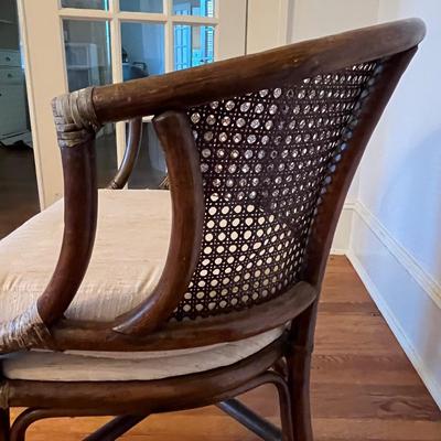 Cushioned Rattan and Wood Armchair (DR-BC)
