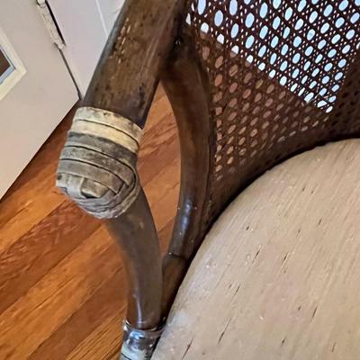 Cushioned Rattan and Wood Armchair (DR-BC)