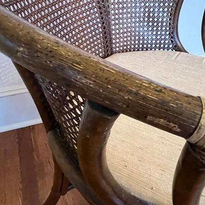 Cushioned Rattan and Wood Armchair (DR-BC)