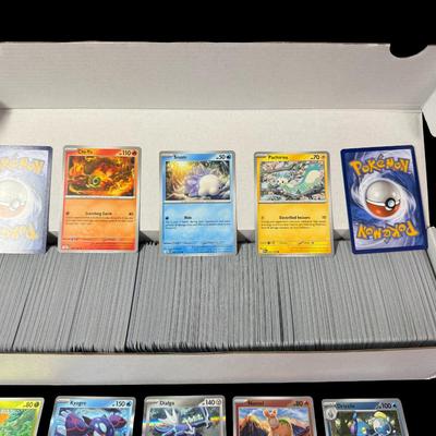 Sale Photo Thumbnail #323