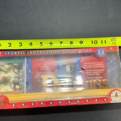 Dolphins Desk/Shelf Decor