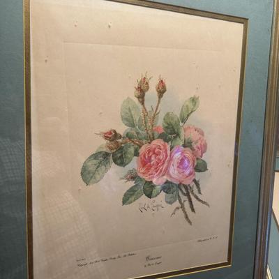 Vintage Framed Rose Prints