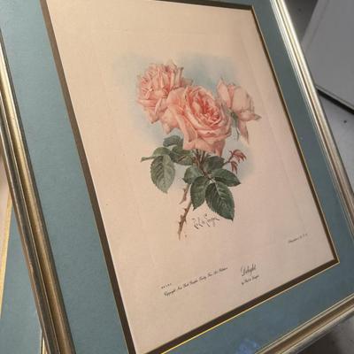 Vintage Framed Rose Prints