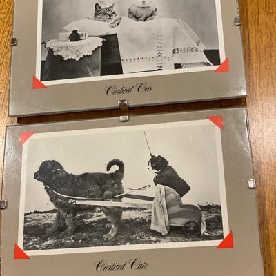 Civilized cats framed decor