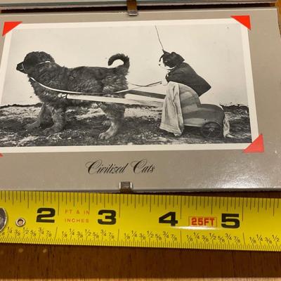 Civilized cats framed decor