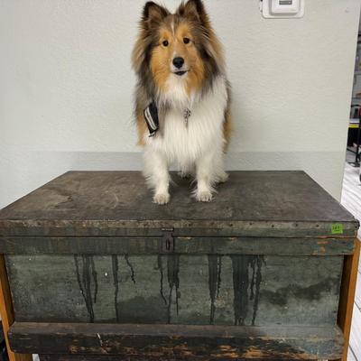 Sale Photo Thumbnail #538