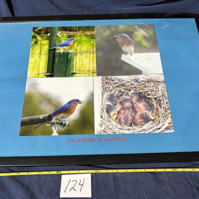 Blue Bird Poster