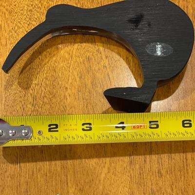 New Zealand bird with shell