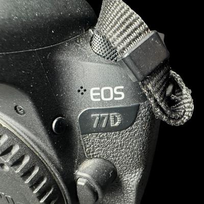 Sale Photo Thumbnail #567