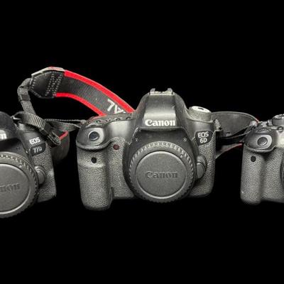 Sale Photo Thumbnail #561