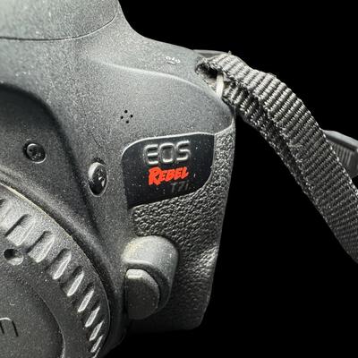 Sale Photo Thumbnail #572